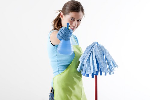 Local pet stain odour removal service in Bermondsey for carpets and upholstery