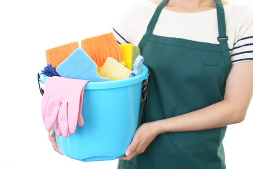 Professional domestic cleaning for Bermondsey homes and flats