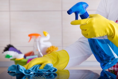 Professional pet stain extraction and deodorising for Bermondsey carpets and rugs