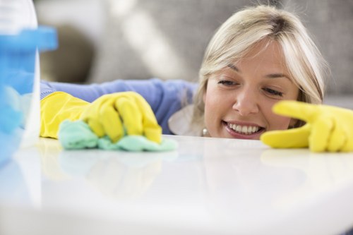 Ongoing domestic and commercial cleaning service for Bermondsey customers