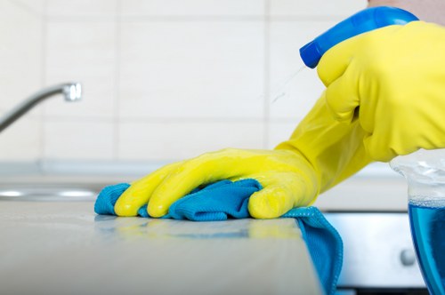 Bathroom deep clean details for a Bermondsey property