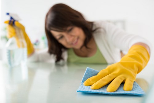 Deep carpet cleaning process in a Bermondsey property