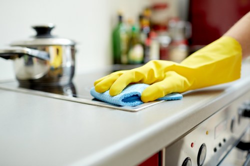 Local stain removal service for carpets, rugs, and seating