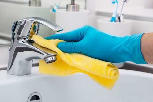 Weekly housekeeping and regular cleaning tasks in a Bermondsey property
