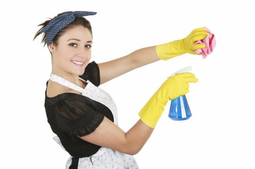 Local cleaning team working in a Bermondsey apartment