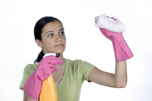 Careful pet odour removal for Bermondsey flats, conversions, and commercial spaces