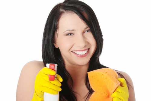 Local cleaner working in a Bermondsey kitchen and living area