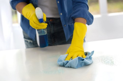 Professional hot water extraction carpet cleaning in Bermondsey